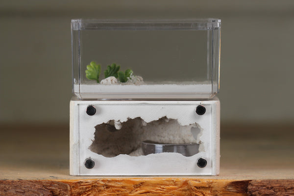 Mini Hearth (Bone 9306)