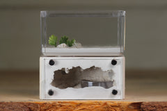 Mini Hearth (Bone 9306)
