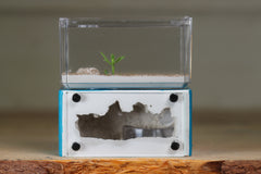 Mini Hearth (Aqua Blue 9309)