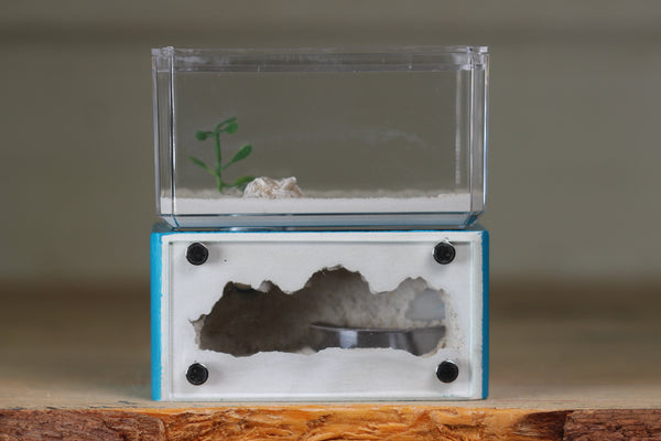 Mini Hearth (Aqua Blue 9310)