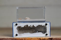 Mini Hearth XL (Dark Blue 9217)