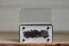 Mini Hearth (Black 9351)