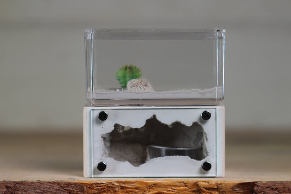 Mini Hearth (Bone 9360)