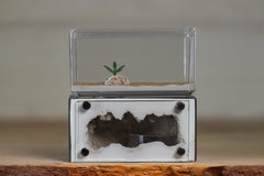 Mini Hearth (Grey 9367)