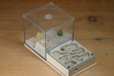 Fallen Fortress Formicarium (Bone 3452)(Canyon)