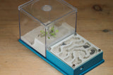 Fallen Fortress Formicarium (Aqua Blue 3455)(Canyon)