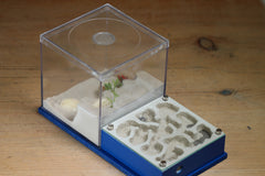 Fallen Fortress Formicarium (Dark Blue 3456)(Canyon)