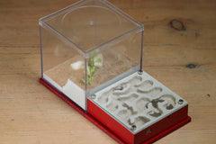 Fallen Fortress Formicarium (Red 3457)(Canyon)