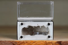 Mini Hearth (Black 9403)