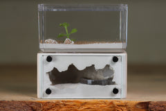 Mini Hearth (Bone 9404)