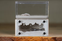 Mini Hearth (Bone 9405)