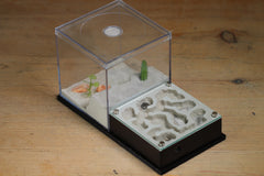 Fallen Fortress Formicarium (Black 3501)(Canyon)
