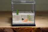 Fallen Fortress Formicarium (Black 3501)(Canyon)