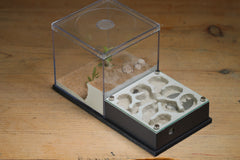 Fallen Fortress Formicarium (Grey 3507)(Canyon)