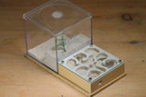Fallen Fortress Formicarium (Beige 3510)(Canyon)