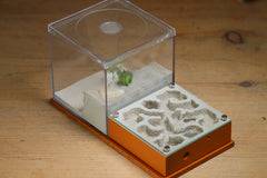 Fallen Fortress Formicarium (Terra 3511)(Canyon)