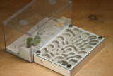 Labyrinth (1129B Bone)(Canyon)