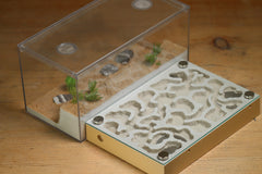 Labyrinth (1132 Beige)(Canyon)