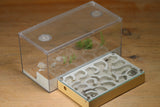 Mini Labyrinth (Beige 3284)(Canyon)
