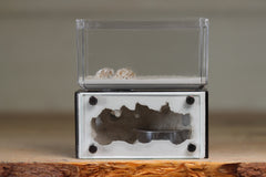Mini Hearth (Black 9500)