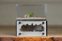 Mini Hearth (Black 9502)