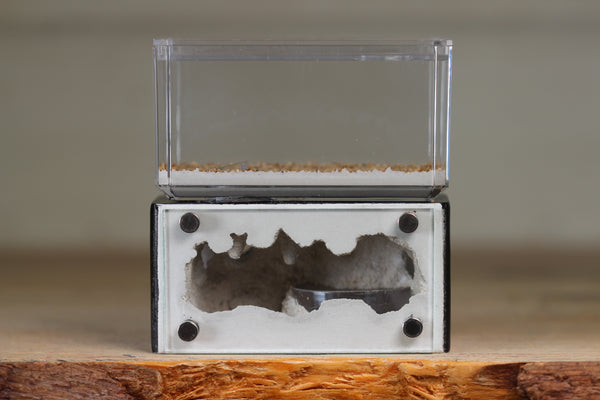Mini Hearth (Black 9505)