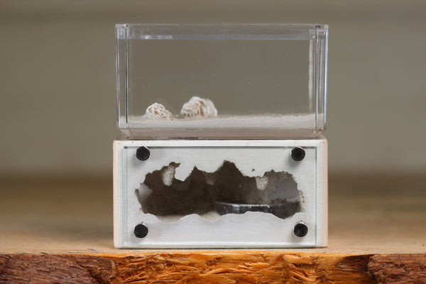 Mini Hearth (Bone 9510)