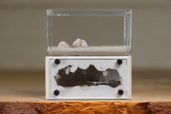 Mini Hearth (Bone 9510)