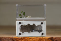 Mini Hearth (Bone 9511)