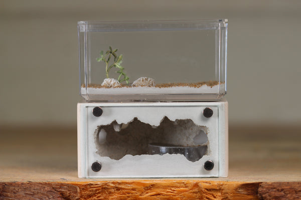 Mini Hearth (Bone 9513)