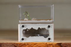 Mini Hearth (Bone 9513)