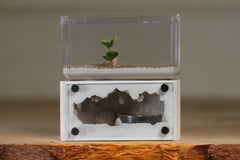 Mini Hearth (Bone 9514)