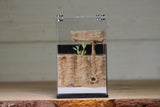 Fortress Formicarium (3101 Black)(X-Tall/MQ Box)