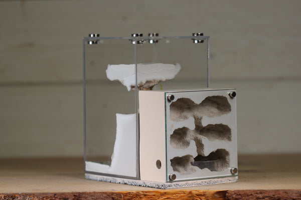 Fortress Formicarium (3102 Bone)(X-Tall/MQ Box)