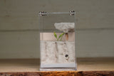 Fortress Formicarium (3102 Bone)(X-Tall/MQ Box)
