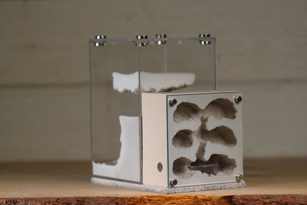 Fortress Formicarium (3103 Bone)(X-Tall/MQ Box)