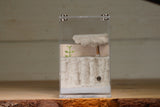 Fortress Formicarium (3103 Bone)(X-Tall/MQ Box)