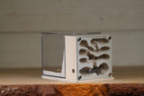 Fortress Formicarium (3105 Bone)