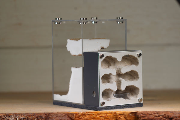 Fortress Formicarium (3104 Grey)(X-Tall/MQ Box)