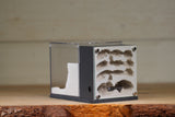 Fortress Formicarium (3106 Grey)