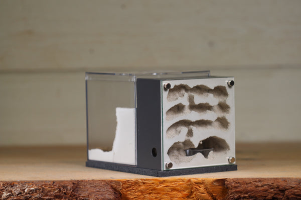 Fortress Formicarium (3106 Grey)