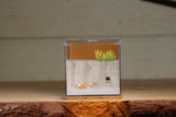 Fortress Formicarium (3107 Brown)