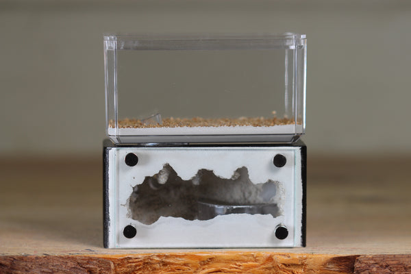 Mini Hearth (Black 9526)