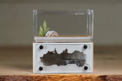 Mini Hearth (Bone 9531)