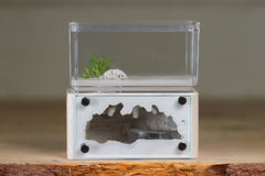 Mini Hearth (Bone 9532)