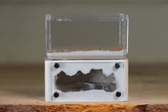 Mini Hearth (Bone 9533)