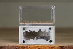 Mini Hearth (Bone 9534)