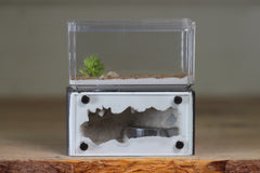 Mini Hearth (Grey 9539)