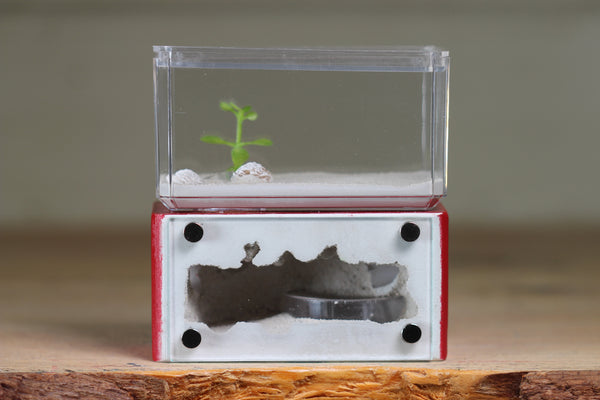Mini Hearth (Red 9541)