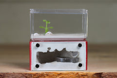 Mini Hearth (Red 9541)